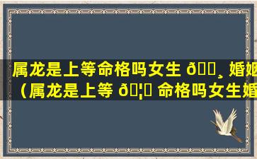 属龙是上等命格吗女生 🌸 婚姻（属龙是上等 🦋 命格吗女生婚姻怎么样）